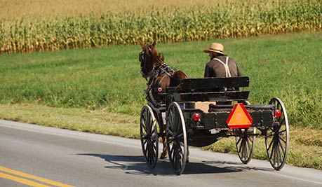 Amish buggy