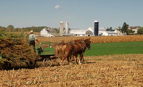 Amish farm, Lancaster