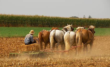 Farming with horses, Lancaster county