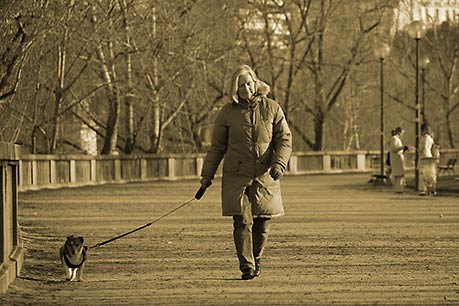 Walking the dog, Paris