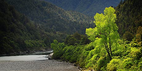 Buller Gorge