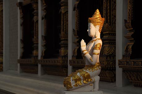 Temple angel, Chiang Mai