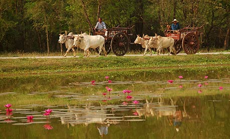 Thailand transport