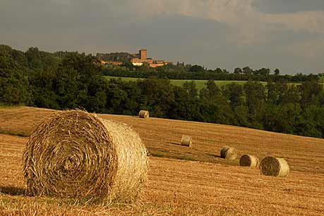 Farm land, Tuscany