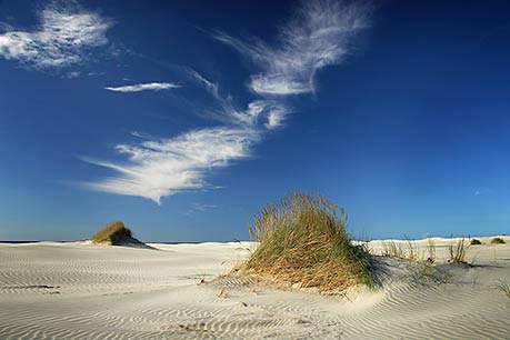 FAREWELL SANDSCAPE - Champion NZ Landscape 2008