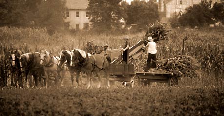 Sepia of Amish farmers