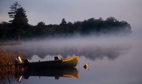 Morning fog, Maine