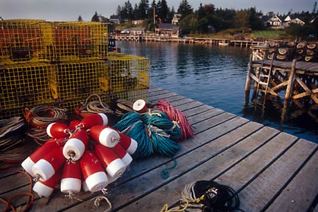Bouys, Port Clyde, Maine