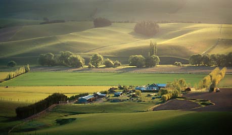 Farm, South Canterbury