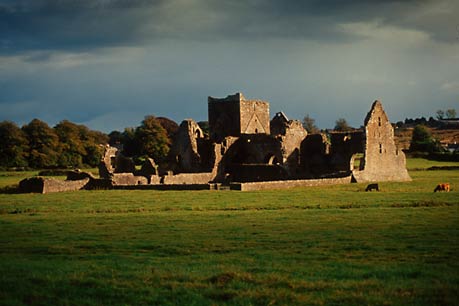 Abbey ruins, Cashel