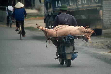 TO MARKET, TO MARKET,   North Vietnam