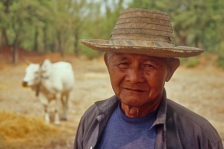 Thai farmer