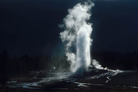 Geyser, Yellowstone, Wyoming