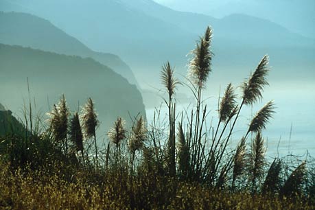 Californian coastline