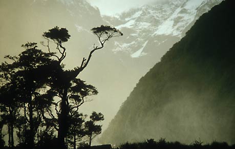 Milford Sound region