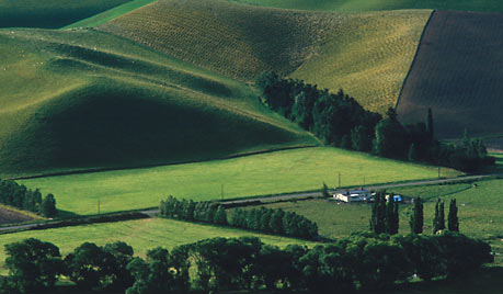 South Canterbury