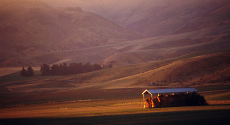 Barn, Otago