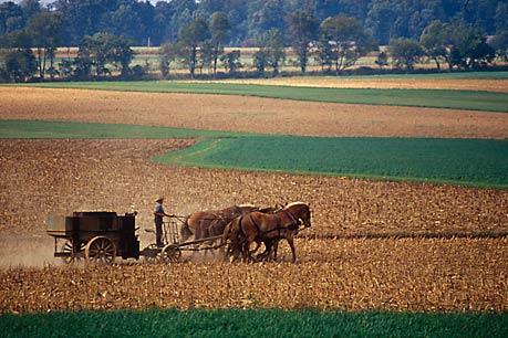 AMISH LANDS