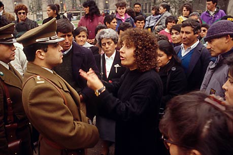 CHILEAN PROTESTOR  -  Champion, Dunedin National, NZ 1998