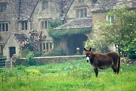 ENGLISH DRIZZLE, Burford, England