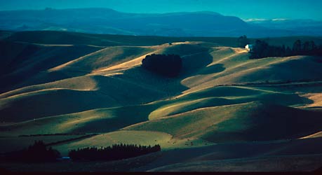 EVENING CONTOURS, South Canterbury