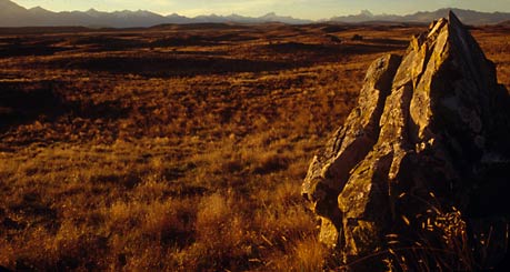 EVENING PANORAMA, McKenzie Country