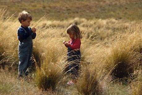 NATURE STUDIERS