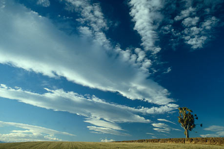 NOR' WESTER LANDSCAPE, Canterbury