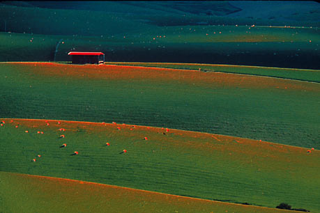 RADIENT LANDSCAPE  -  Gold Medal & Robinson Cup, NZ 1988