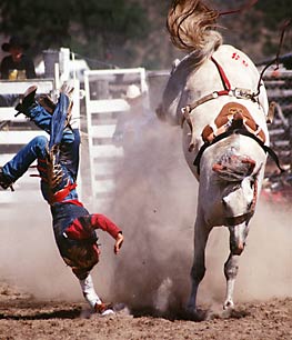 RODEO HANDSTAND