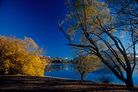 WANAKA BLUE