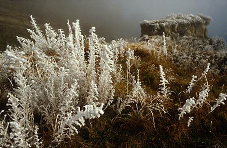 WINTER'S TOUCH, Cromwell Gorge