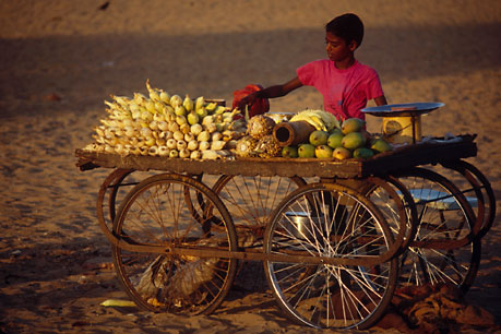 YOUNG FRUIT VENDOR, India
