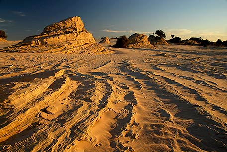 MUNGO EVENING