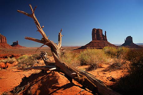 PARCHED MONUMENTS