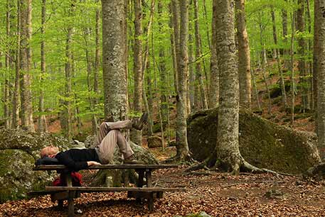 A PLACE OF REST, Italian woodlands