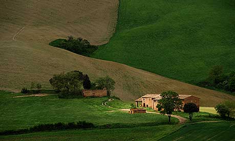 FARM IN TUSCANY