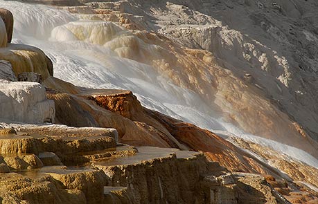 MAMMOTH SPRINGS YELLOWSTONE