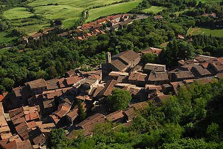 Roof tops of Radicofani