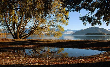 WANAKA MORNING