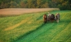 Last light farm worker