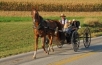 Amish man with three children