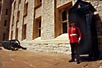 Guard at Tower of London, England