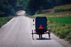 Amish buggy, Lancaster County, Pa