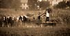 Sepia of Amish farmers