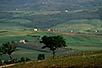 Montalcino countryside