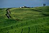 Montalcino countryside