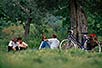 Afternoon chat at San Antimo