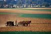 AMISH LANDS