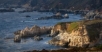 MONTEREY COASTLINE